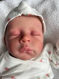 Reborn heat set paints contest winners announced