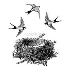 Unique Hobby Stamps Vogelnest Met Vogels 1 45 Mm X 33 Mm Vintage Vogelnest