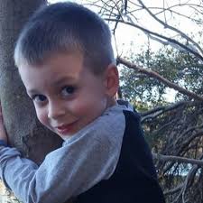 Fundraiser for Josh Robertson by Nicole Harmison : Angels for Levi Robertson