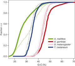 The technician called before he arrived. The Genome Of The Model Beetle And Pest Tribolium Castaneum Nature
