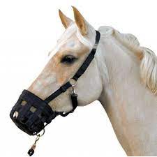 Ce qu on met à quelques animaux pour les empescher de mordre, ou de paistre, &c. Licol Museliere Cheval Hkm