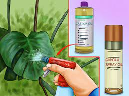 Maybe you would like to learn more about one of these? 3 Ways To Discourage Dogs From Pooping In Your Garden Wikihow
