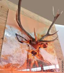 Ehrfurchtig Hirschgeweih Deko Wohnzimmer Hirschgeweih Deko Hirschgeweih Geweih