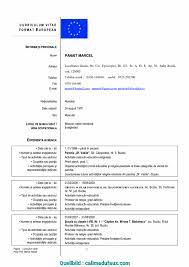 Selectați informațiile pe care doriți să le includeți, alegeți un model și europass compilează totul. Cv Europass English Model Download