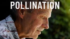 Native Seeds: Supplying Restoration