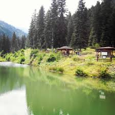 Kastamonu bozkurt posta kodu 2021. Safa Erdogan Mamatlar Mesire Yeri Yaraligoz Kastamonu