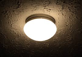 Check spelling or type a new query. Are There Dead Bugs In Your Ceiling Light Fixtures Knockout Pest Control