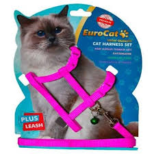 eurocat kedi gogus tasmasi pembe 1454001462906 amazon pet center kedi pembe kedi kopek