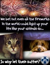Know The Laws Regarding Fireworks Should People In Your Area Be Igniting Fireworks Irresponsibly Or In Contravention Of Fireworks Animal Rights Quotes Animals