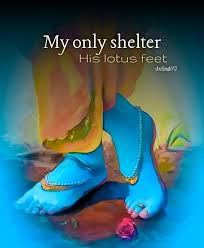 Krishna quotes lord krishna wallpaper with quotes sumber : á´‹Ê€Éªêœ±ÊœÉ´á´€á´ á´ á´€É´á´…á´‡ á´Šá´€É¢á´€á´…É¢á´œÊ€á´œá´ Lord Krishna Images Lord Krishna Wallpapers Krishna Hindu