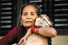 The surreal practice of honey hunting in Nepal