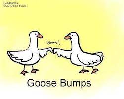 A Whole New Meaning To Goose Bumps Lol Funny Puns Punny Puns Corny Jokes