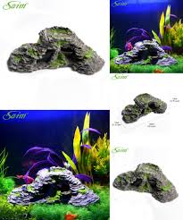 Pin On Aquarium