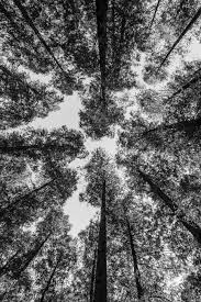 We did not find results for: 25 Lightroom Preset Packs With A Total Of 400 Presets For Landscape Travel Black And White Landscape Vintage Nature Photography Landscape Photography Nature