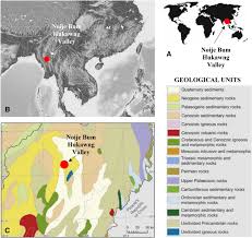Image result for Trichoneura