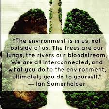 Quotes About Our Environment 229 Quotes