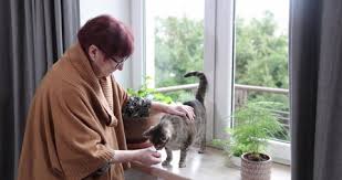 Cat Woman Love Stock Video Footage 4k And Hd Video Clips Shutterstock