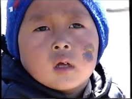 Die Lena hinab Vom Baikalsee nach Alaska