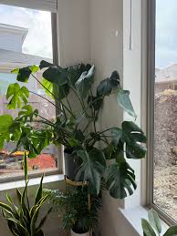 I have been waiting for 2 weeks… How long does it take? 🥺