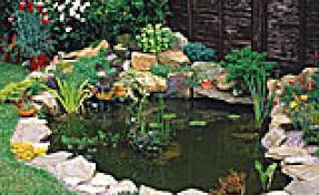 Gartenteich Anlegen Schritt Fur Schritt Zum Wasserparadies Garten Wassergarten Teich