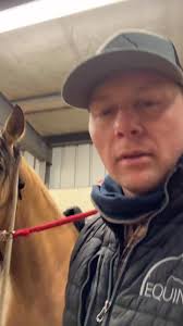 Kitten time #ridethewrightway #kittens