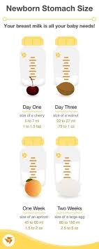 Tips For The First Two Weeks Of Breastfeeding Medela