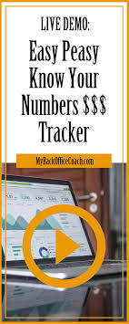 Live Demo Free Biz Bookkeeping Tool Easy Peasy Know Your Numbers Money Tracker Link To Get Business Basics Bookkeeping Software Small Business Bookkeeping