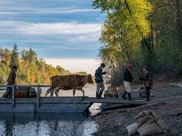 The bird a nest, the spider a web, man friendship. in blake's estimation, these are the active creations. First Cow Film Threat