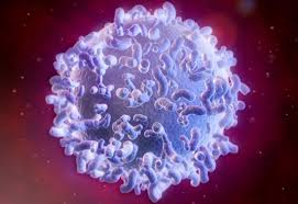 Member level 16 blank slate. Sjogren S Syndrome Symptoms Diet And Treatment