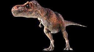 Rex is an ecosystem of businesses founded and led by peter rex, and headquartered in austin, texas. Dinosaur Tyrannosaurus Rex The Australian Museum