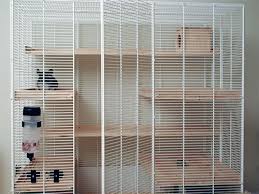 Also, i made this to show some of. Pin On Rabbit Home Ideas