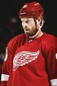 Hat Trick 4 Mule Last Night Versus Ottawa Semators Detroit Red Wings Red Wings Red Wings Hockey