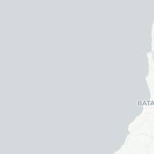 Image result for Orthopichonia cirrhosa