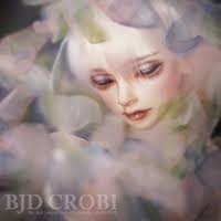 Lance Day Dream Wisteria Limited