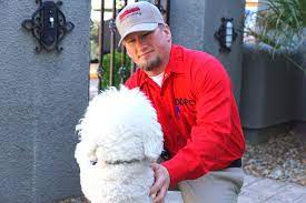 Pest prevention is simple to do yourself with common, household items. Is Pest Control Pet Friendly Dr Death Pest Control