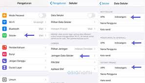 Apabila kartu sim tidak terbaca itu berarti rusak, dan apabila kartu xl hangus karena nomor anda di blokir akibat habis masa tenggang, cara menagatasinya itu sama saja. Cara Setting Personal Hotspot Iphone Xl 3 Axis Im3 Telkomsel