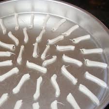 Receita De Biscoito De Polvilho Azedo Assado Crocante Biscoito De Polvilho Azedo Assado Receita Com Imagens Biscoito De Polvilho Receitas Com Polvilho Biscoito De Polvilho Azedo