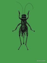 Patterned Cricket Insect Print Kids T-Shirt
