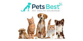 Maybe you would like to learn more about one of these? Pets Best Pet Insurance Review 2021 Update 365 Pet Insurance
