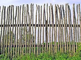 Mazzelshop Inspiratie Schutting Tuin Tuininrichting Tuinafscheiding Garden Fench Home