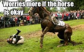 I Have Done That And Likely Always Will If You Ride You Probably Do Too Funny Horse Funny Horses Horse Riding Quotes