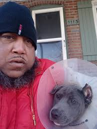 Any suggestions for removing hair from dog ears?