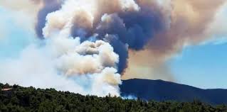 Ένα κοριτσάκι νοσηλευόταν σε νοσοκομείο και δεν είχε κάποιον να την περιμένει, μέχρι που την υιοθέτησε μία νοσοκόμα (pics) Phc Vqcop3g8fm