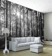 Wandtapete bamboo path / bambuspfad wald bambus 315x232 cm ovp. Fototapete Baum Wald Natur Licht Schatten Baume Kiefer Schwarz Weiss Ca 335x236cm Eur 39 99 Picclick De