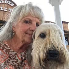 Gilbert ❤️ Melissa Hortman's beloved dog, killed in a political attack.  America, what are you doing? #melissahortman