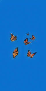 Cutie In 2020 Cute Patterns Wallpaper Aesthetic Wallpapers Aesthetic Pastel Wallpaper