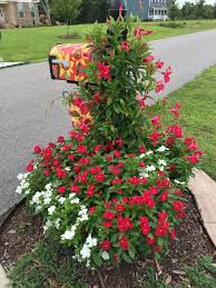 Pin On Mailboxes