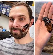 ROACH UPDATE!! Patsy is still pregnant:/ but our friend and former employee Matt  Geis is showing us how much his grandpa roach some loves him! #BUGusANYTIME