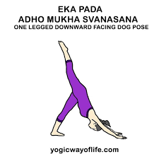 7 Balancing Poses For Beginners Yogic Way Of Life Yoga Asanas Yoga For Beginners Yoga Moves
