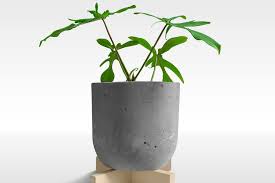 We did not find results for: 7 Jenis Philodendron Yang Sedang Digemari Daunnya Unik Dan Cantik Halaman All Kompas Com